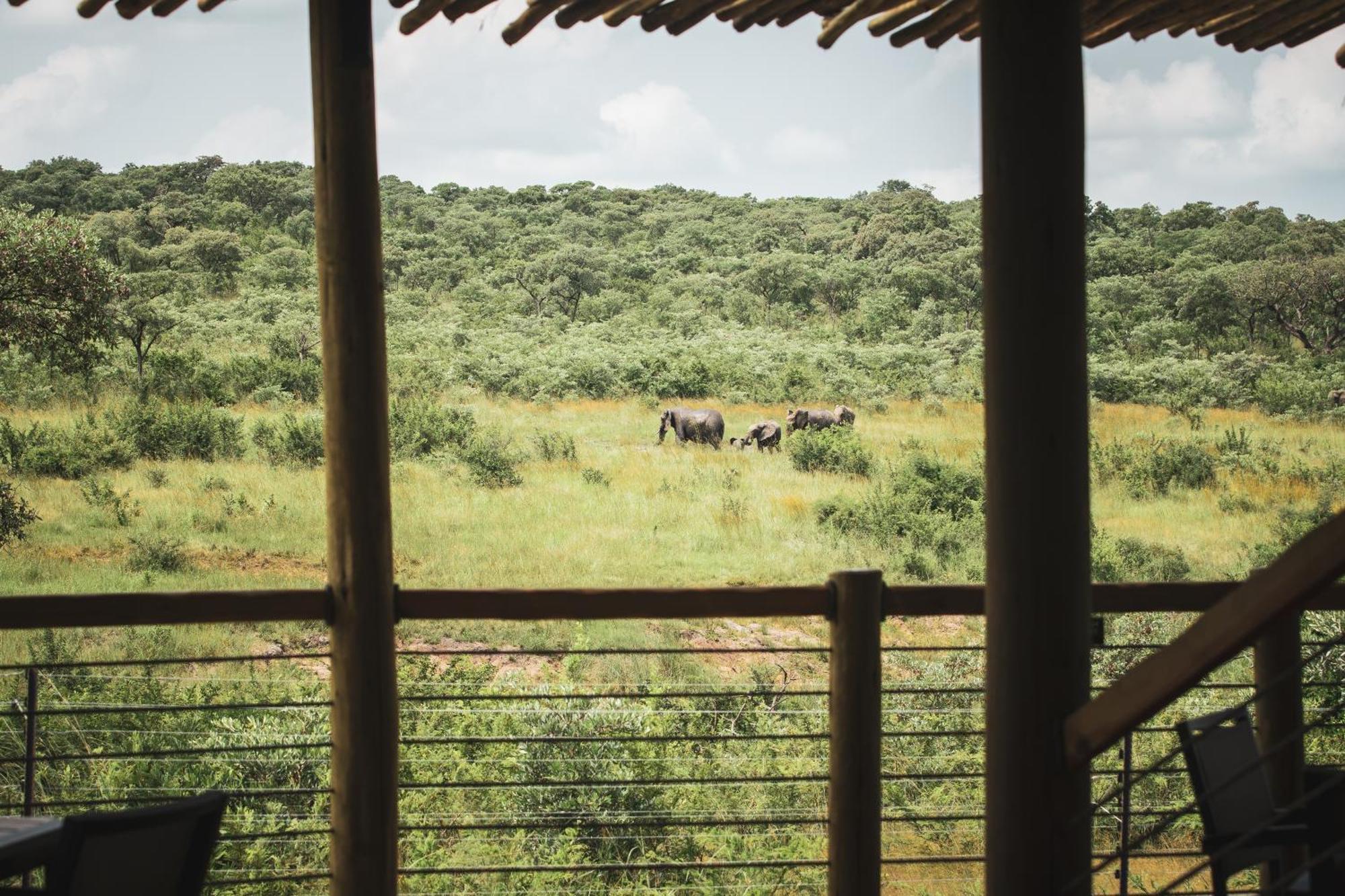 Mdluli Safari Lodge Hazyview Buitenkant foto